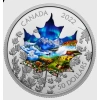 Loodus ja loomad