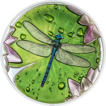 2224-2224_6560a381ef71f9.56603616_30464_lily-pad_dragonfly_r_large.jpg