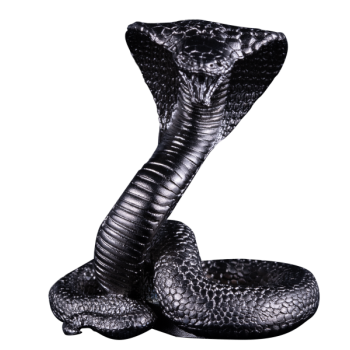 2449-2449_67b9a80b633df8.02164806_24_3oz_schlange_rv_frontal_large.png