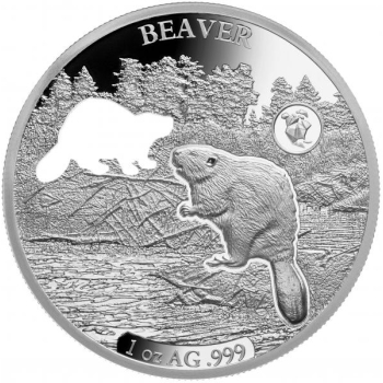 «Животные Америки - Бобры́»,  Барбадос 5 $ 2020 г. 99,9% серебряная монета с безупречным разрезом, 31.1 г. 