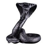 The Year of the Snake. 3D" Samoa 5$  2025  99,9% Silver coin 3 oz