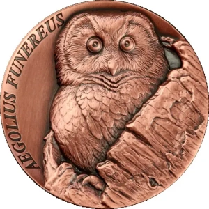 Samoa Tree Hollow Aegolius Funereusoenix.- Samoa 0,2Tala 2026 Antique Finich Ultra High reliefcopper coin, 47 g