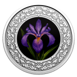 Floral Emblems of Canada: Quebec Blue Flag Iris Canada 3$ 2020 99,99% Silver Coloured Coin 7,96 g