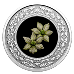 Floral Emblems of Canada. Pacific Dogwood. British Columbia Canada 3$ 2020 99,99% Silver Coloured Coin 7,96 g