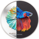 Eclectic Nature. - Fighting fish.  Cook Islands 5$ 2021 99,9% silver coin, 1 oz