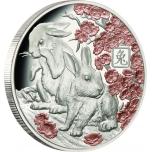 Year of the Rabbit - Solomon Islands 10$ 2023 partly gilded 99,9% silver coin. 1 oz.