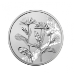 "Календула" - Австрия, 10€, 2022 г. 92,5% серебряная монета,15,56 г.