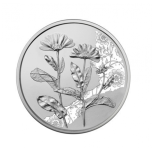  The Marigold - Austria 10€ 2022 92,5% silvecoin, 15 5 g