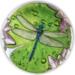 Lily Pad - Dragonfly. Palau 5$ 2024  99,9 % silver coin, 1 oz