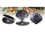 Venuse sünd. Samoa 5 $ 2025.a. 3-untsine antiikviimitlusega 99,9 % hõbemünt Venuse sünd. Samoa 5 $ 2025.a. 3-untsine antiikviimitlusega 99,9 % hõbemünt