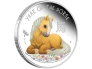 2552-baby-horse.png.webp