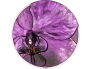 2615-31100-bionics-orchid-r.png.webp