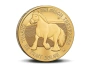 2714-belg-hobune-1-1-2.png.webp