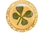 435-au-luck-a.png.webp