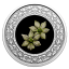 Floral Emblems of Canada. Pacific Dogwood. British Columbia Canada 3$ 2020 99,99% Silver Coloured Coin 7,96 g