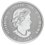 Birthstone October. Canada 5$ 2020 99,99% silver coin with crystals, 7,96 g