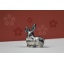 1793-1793_62c6a7bbf3ee66.57377289_30005_sweet-silver-rabbit_s1_large.jpg