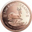 1811-1811_62bb0600b79af0.46799254_krugerrand-fiftieth-oz-coin-2019_large.jpeg