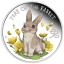 1935-1935_6363a48c54d586.08572386_baby-rabbit-rev_large.png