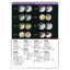 1964-1964_639b22004c2928.14636330_euro-muenzen-und-banknotenkatalog-2023_2_large.jpeg