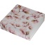 2444-2444_67adf7b0f22d92.82158915_1212290_gfc_5dollars_samoa_magnolie_2025_boxumverpackung_geschlossen_rechts_large.jpg