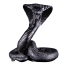 2449-2449_67b9a80b633df8.02164806_24_3oz_schlange_rv_frontal_large.png