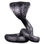 2449-2449_67b9a8294a1052.91516325_24_3oz_schlange_rv_frontal_rückseite_large.png